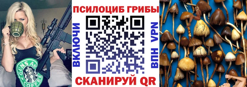 Галлюциногенные грибы мицелий  Фролово 